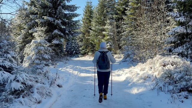 Woman hiking in winter forest