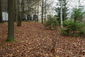 An autumn forest path leading to a historic estate