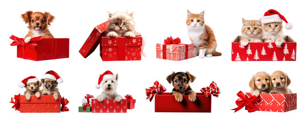 PNG Adorable festive pets collection, element set on transparent background