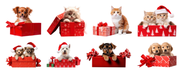 PNG Adorable festive pets collection, element set on transparent background