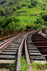 Obraz premium railway in the forest