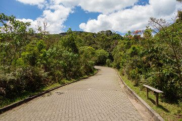 trail to Pedra da Macela peak, in Serra do Mar mountain range, on border between states of Sao...
