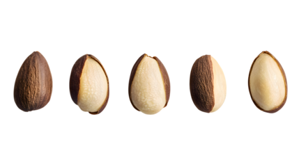 Brazil nuts shelled and unshelled healthy snack food source protein rich nutritious diet isolated transparent