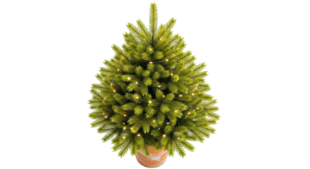 Isolated small Christmas tree in terracotta pot with holiday lights, no background stock photo