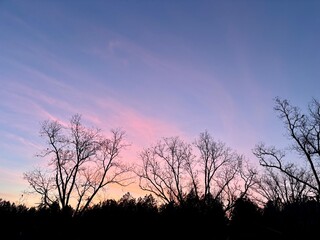 Fototapeta premium Bare Tree Silhouettes Against a Pink and Purple Sky
