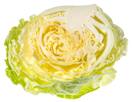 Half head of fresh green cabbage cut in cross section showing layered leaves and core on isolated background