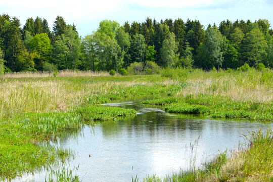 Moosach, Renaturierung, &ouml;kologische Ausgleichsma&szlig;nahme , Wasserbiotop, Uferbiotop