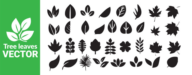 Set of tree leaves, various black leaf icons, isolated foliage vector collection