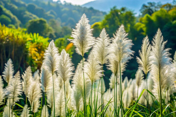 Wheat plants illuminated by sunlight under a clear blue sky captured from a dramatic low angle perspective