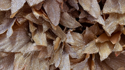 Abstract macro of bronze/gold glittery textile layers. Elegant metallic texture background.