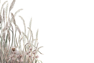 Rectangular frame with dried steppe herbs and flowers. Isolated watercolor illustration for eco-friendly projects, interior design, posters, postcards, and calendars.