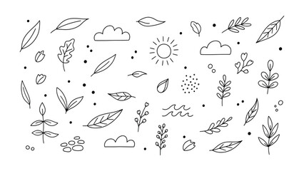 Nature's Design Elements: An array of delicate leaf, sun, cloud and natural illustration arranged in a harmonious and artistic display.