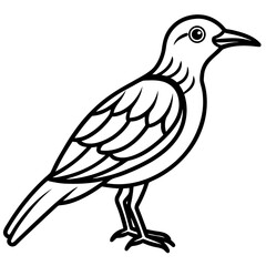 Fototapeta premium dove of peace