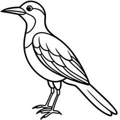 Fototapeta premium vector illustration of a bird