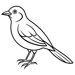 Fototapeta premium bird on a branch