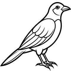 Fototapeta premium bird on a branch