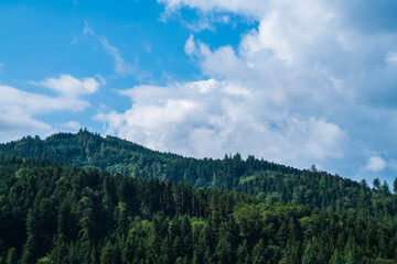 Germany, Beautiful black forest schwarzwald nature landscape panorama view above tree tops in summer season with clouds and blue sky