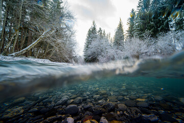 Underwater in a clear mountain creek on a freezing cold morning