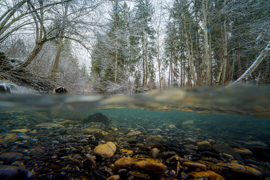 Underwater in a clear mountain creek on a freezing cold morning