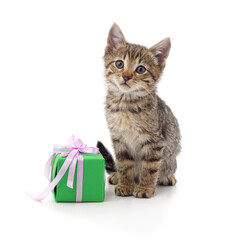 Cute tabby kitten sitting with a green gift box on white backgroun.