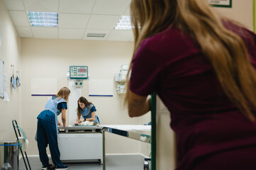 Obraz premium Veterinary team performing x-ray on cat in clinic