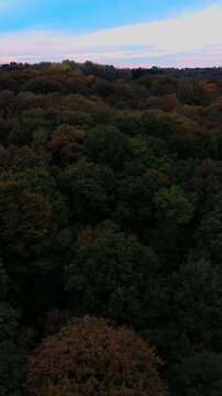 Vu du ciel d'une for&ecirc;t color&eacute;