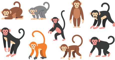 Cute cartoon monkey collection illustration showing different poses and colors, playful animal characters design for kids education, zoo, and wildlife concept