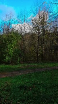 Promenade d'automne en for&ecirc;t color&eacute;