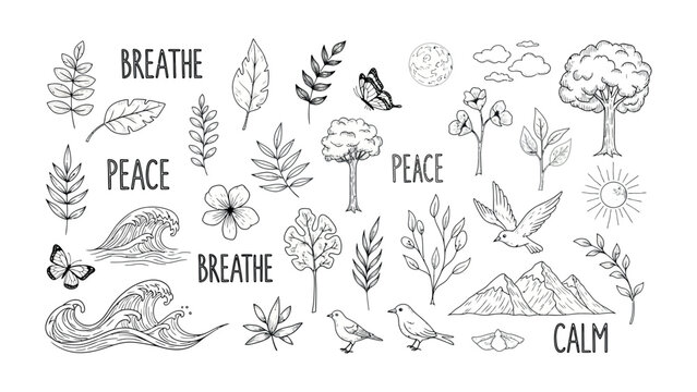 Nature's Tranquil Embrace: A collection of meticulously drawn nature elements and word, inspiring calmness and serenity. It is a symbol of calm, peace and inner peace
