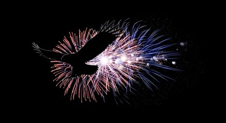 Eagle soars amidst fiery night display