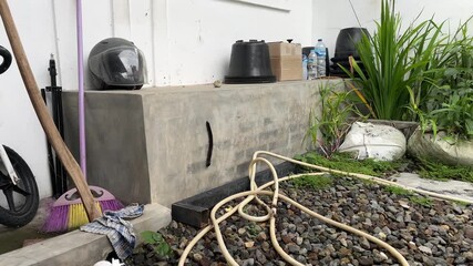 Millipedes with a length estimated at more than 20 centimeters walk on the walls of houses, these arthropod animals have a strong exoskeleton to protect them.