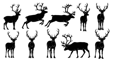Silhouette collection of reindeer with large antlers isolated on white background set of different poses of deer, standing, walking, jumping, and lying down