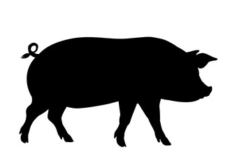 Domestic pig silhouette - vector illustration