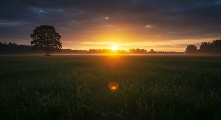 Sunrise Over Field with Tree and Sunlight