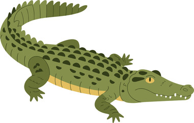 Flat minimalist illustration of crocodile in green color, wildlife animal design, reptile drawing, nature species, cartoon alligator concept