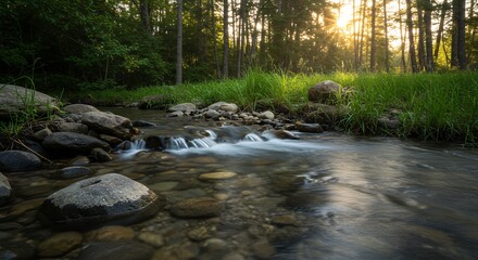 Forest Stream at Sunset