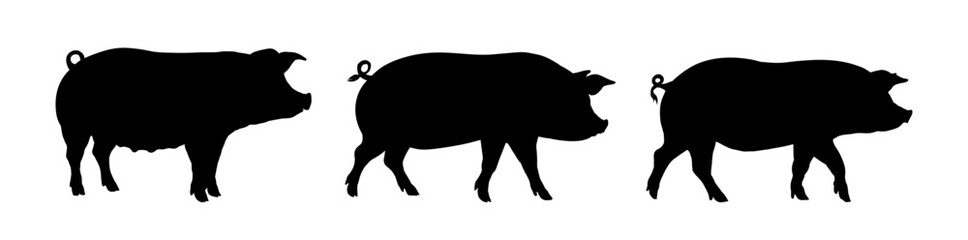 domestic pig silhouette set - vector illustration