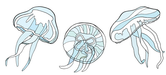 Three stylized jellyfish in light blue and white sea creature