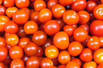 Simple descriptive title. Vibrant harvest of juicy red tomatoes in natural light representing healthy eating organic farming and seasonal produce.