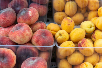 Fresh fruits including nectarines, peaches and apricots in market display. Colorful arrangement of ripe stone fruits in transparent containers showcasing seasonal produce in grocery market setting.