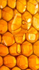 Golden Honeycomb Close-Up - A Sweet and Natural Delight.