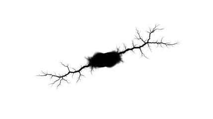 Fractal pattern black abstract shape digital art mathematical design isolated on transparency background intricate branching modern creative unique science inspired