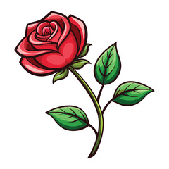 Scarlet Bloom: A vibrant red rose unfurls its petals, a symbol of love, beauty, and grace, against a clean, simple backdrop.