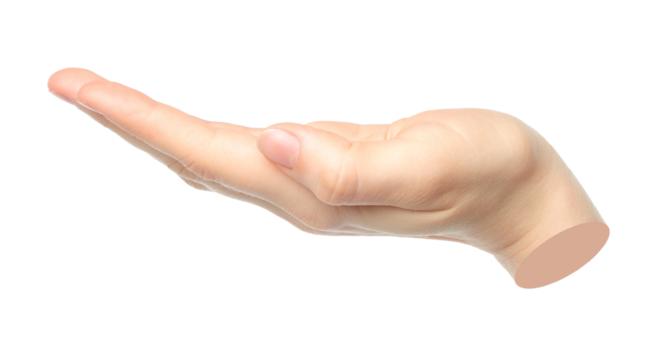 Hand gesture like a holding something isolated on transparent background. Contemporary art design