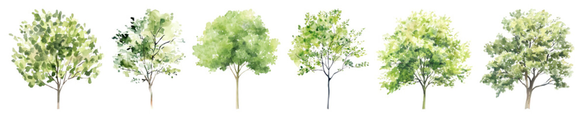 Fototapeta premium PNG Watercolor trees nature collection, element set on transparent background