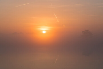 A sunrise over a lake with reed in the front on the side in the Netherlands. The sky is orange and the sun is rising in the middle of the photo.