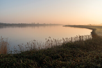 A sunrise over a lake with reed in the front on the side in the Netherlands. The sky is orange and the sun is rising