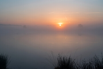 A sunrise over a lake with reed in the front on the side in the Netherlands. The sky is orange and the sun is rising in the middle of the photo. In the background there are silhouettes of trees.