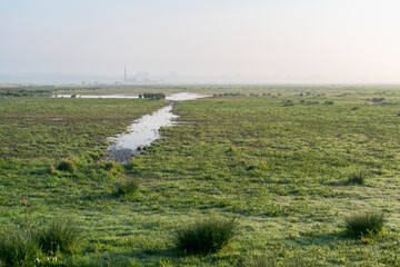 A field of grass and some puddles of water. The sky is foggy in Polder Arkemheen in the Netherlands. In the background the silhouette of the large brick building is visible.