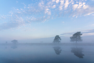 Fototapeta premium In the early morning a lake with a reflection of trees. The sky is blue with some clouds and the air is cool and damp. The scene is quiet and peaceful, with the lake providing a sense of solitude and 